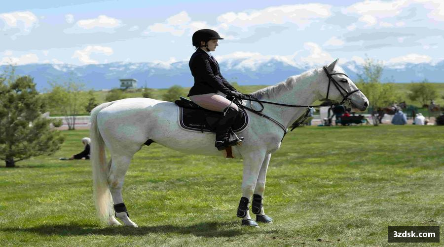 beats365亚洲版官网🏅荣耀见证，每一份汗水都值得铭记！🎉